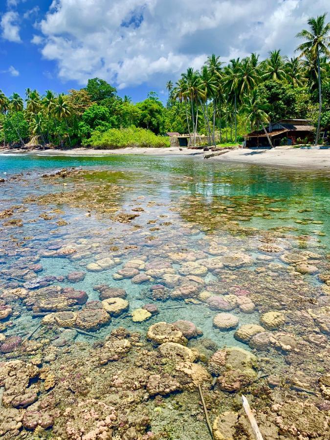 Pristine Paradise Dive Resort - Togean Islands, Una Una Pulau Unauna Eksteriør billede